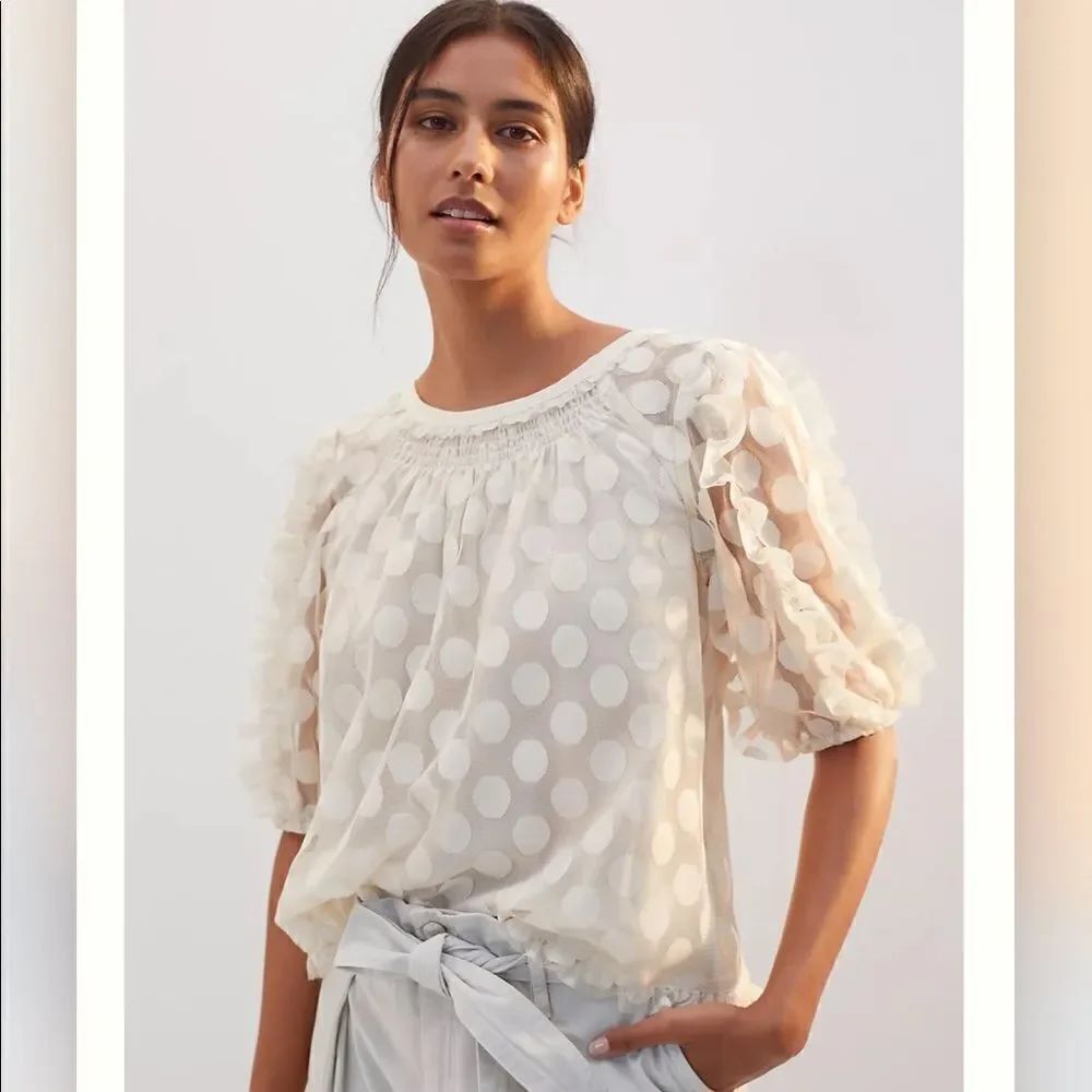 Anthropologie Sheer Ruffle Blouse NWT